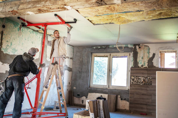 Best Eco-Friendly Insulation in Amerin Nyon, CA