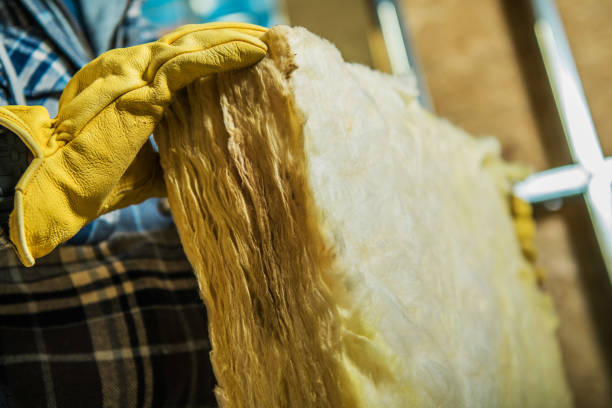 Best Spray Foam Insulation in Amerin Nyon, CA