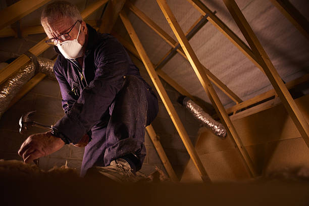 Best Cellulose Insulation in Amerin Nyon, CA
